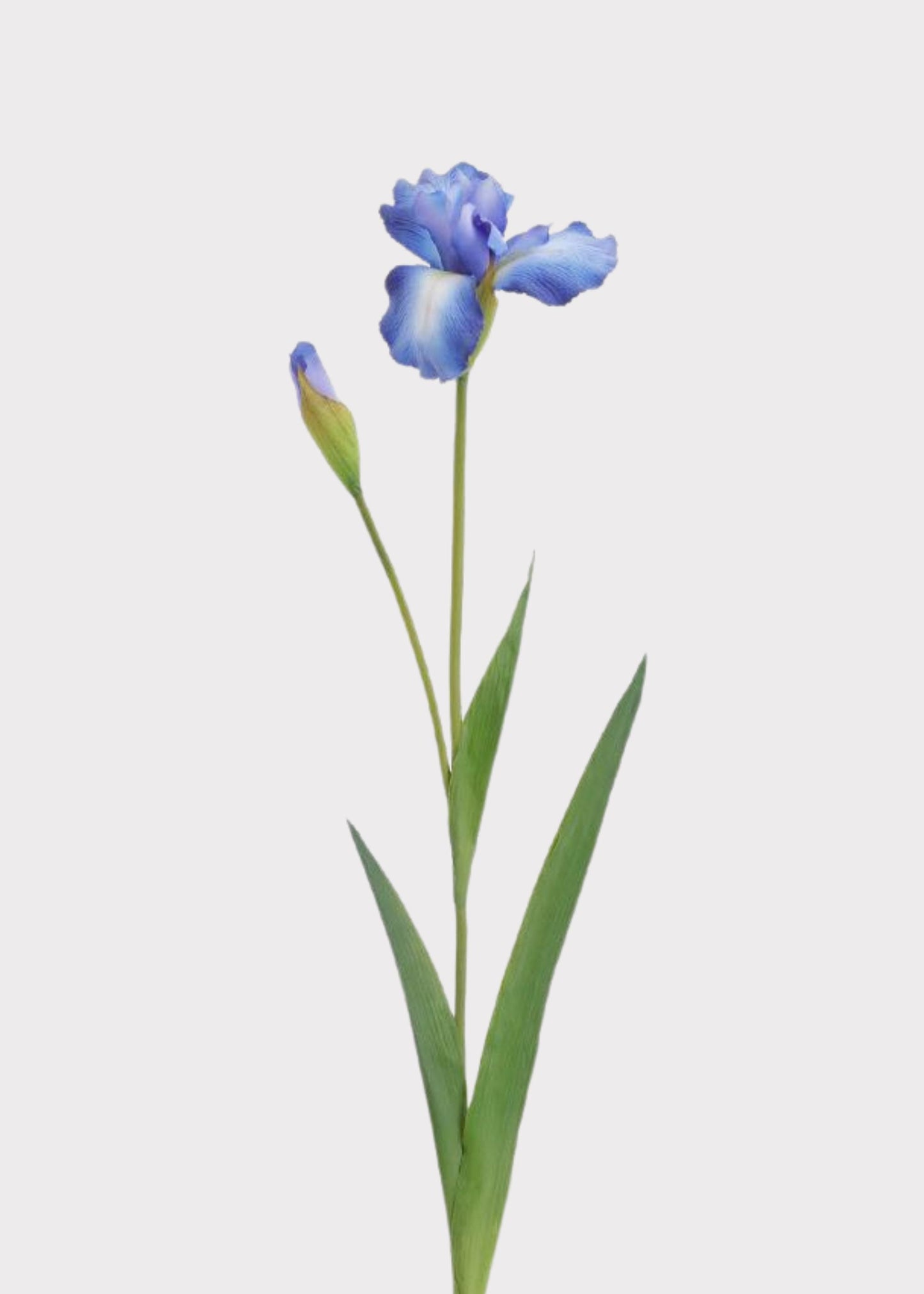 Blue Real Touch Iris Fake Flower - 29"