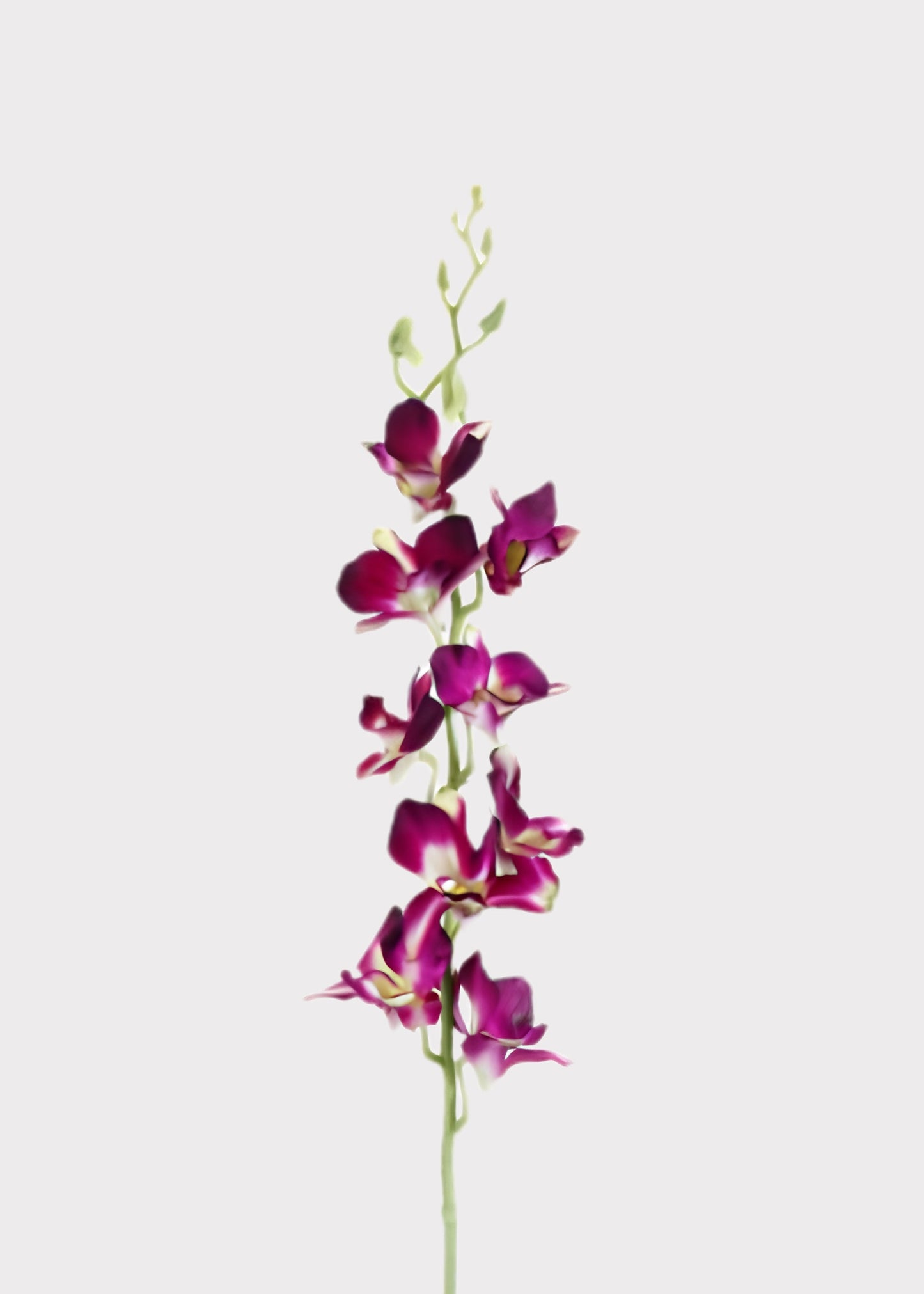 Purple Artificial Dendrobium Orchid Flower Branch - 35.5"