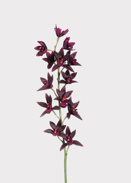 Artificial Cymbidium Orchid in Plum - 38"