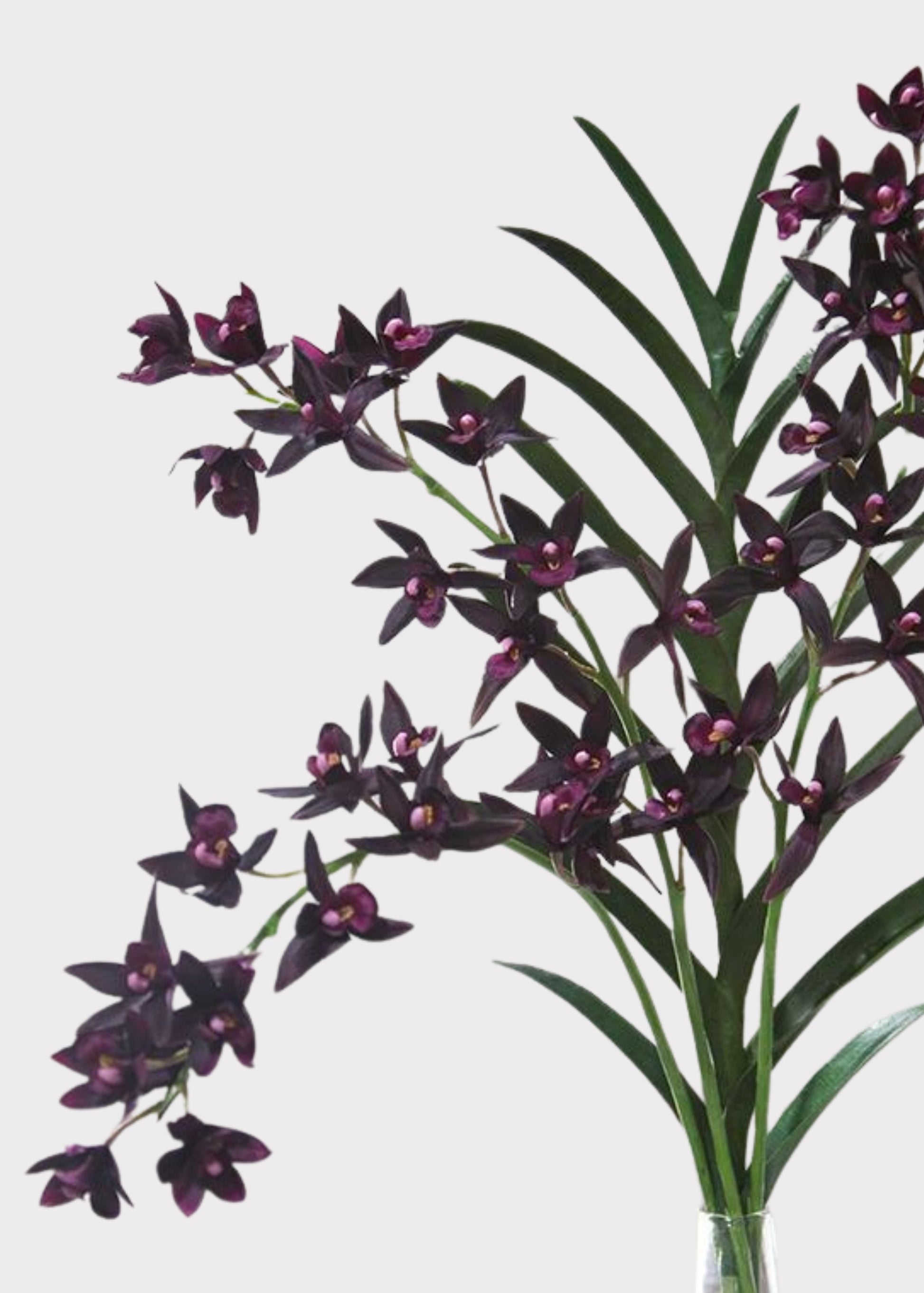 Artificial Cymbidium Orchid in Plum - 38"
