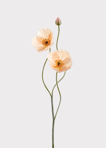 Fake Blooming Poppy Flowers in Peach - 29"