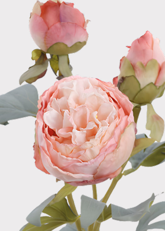 Pink Peony Dried Look Artificial Flower - 24"