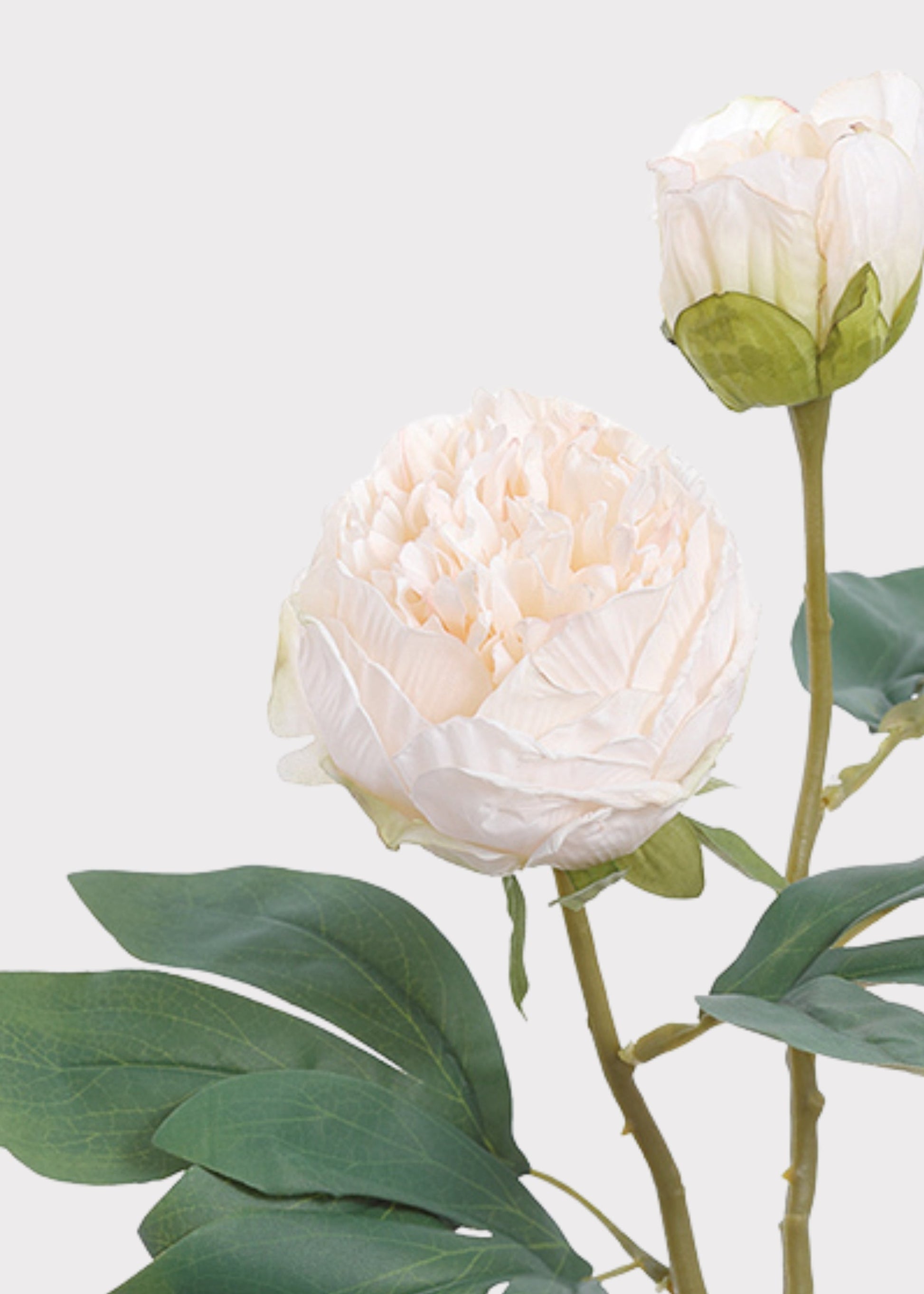 Petite Peony Fake Flower in Cream Blush - 19"