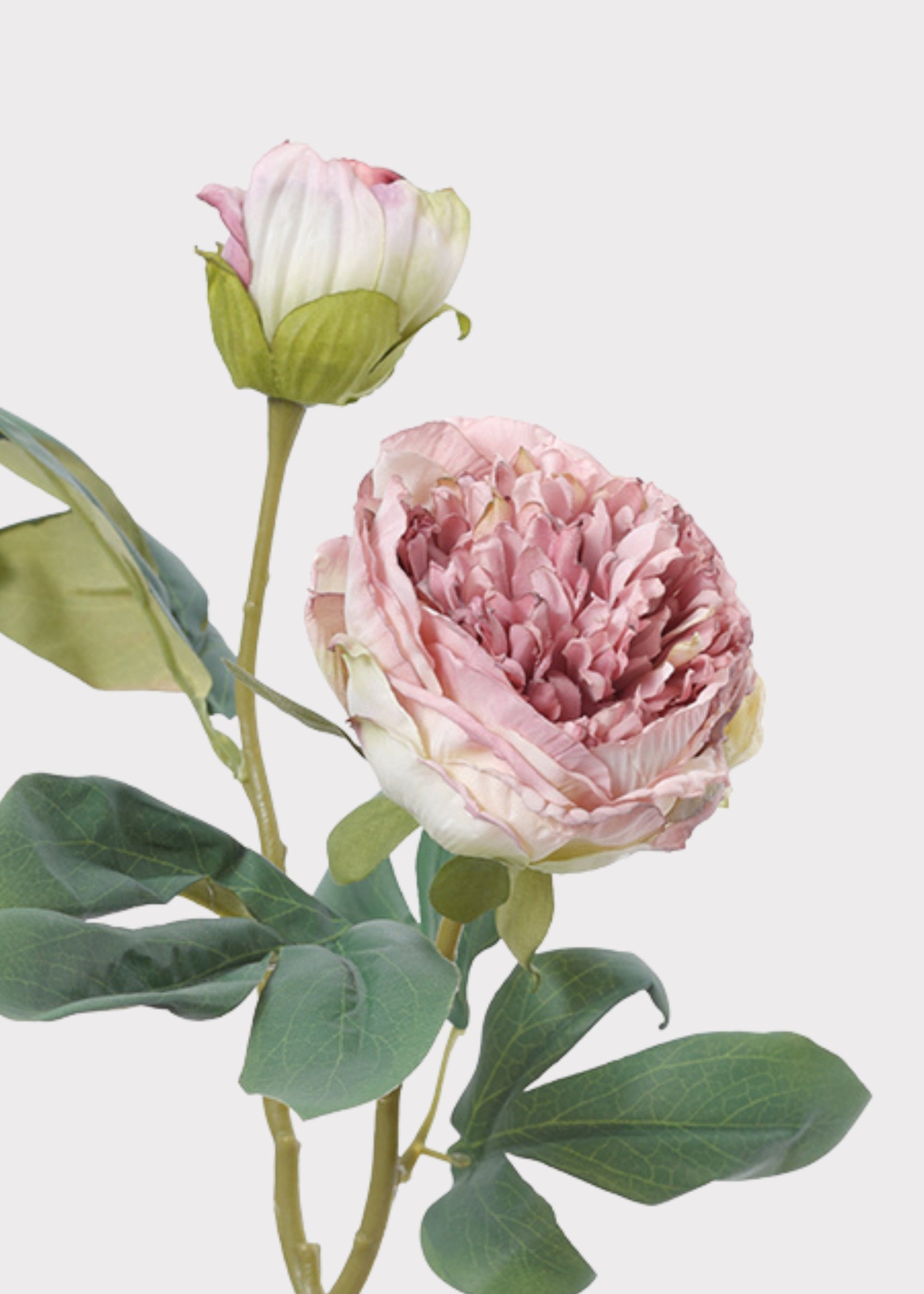 Lavender Pink Artificial Petite Peony  Flower - 19"