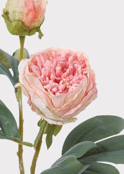 Artificial Petite Peony Flower in Pink - 19"