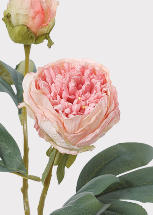Artificial Petite Peony Flower in Pink - 19"