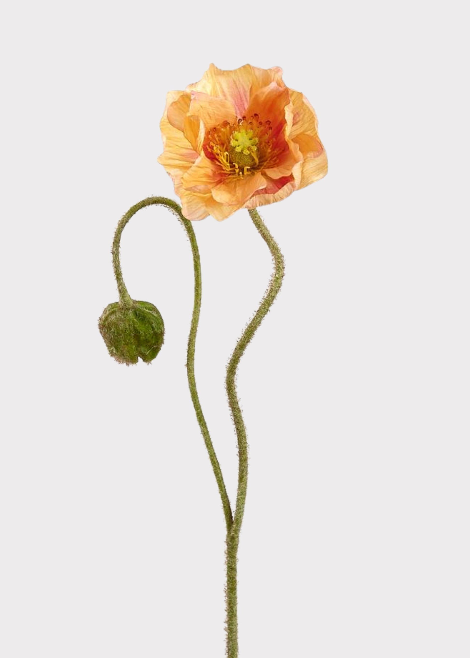 Coral Artificial Poppy Flower Stem - 31"