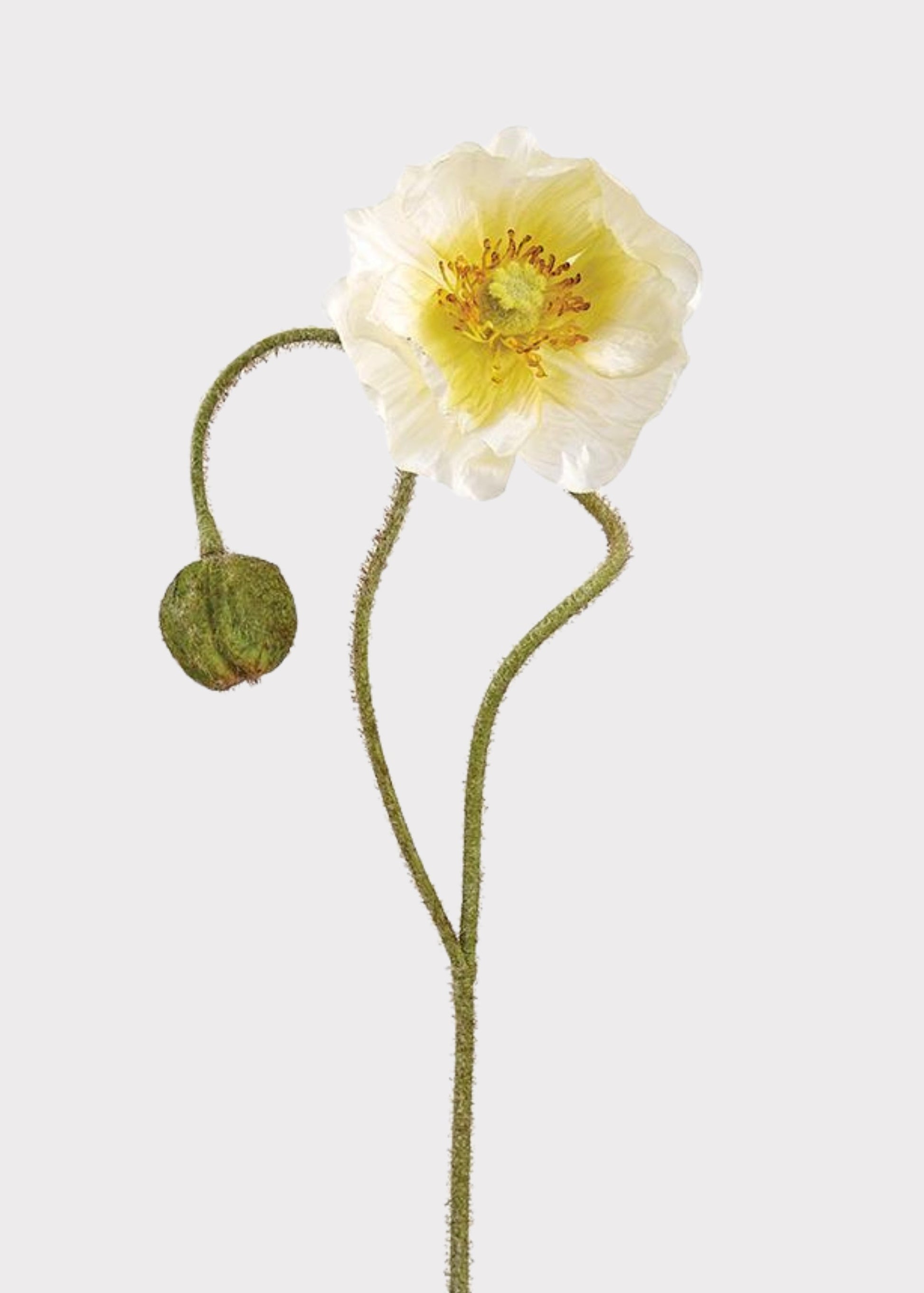 Artificial Poppy Flower Stem in Cream - 31"