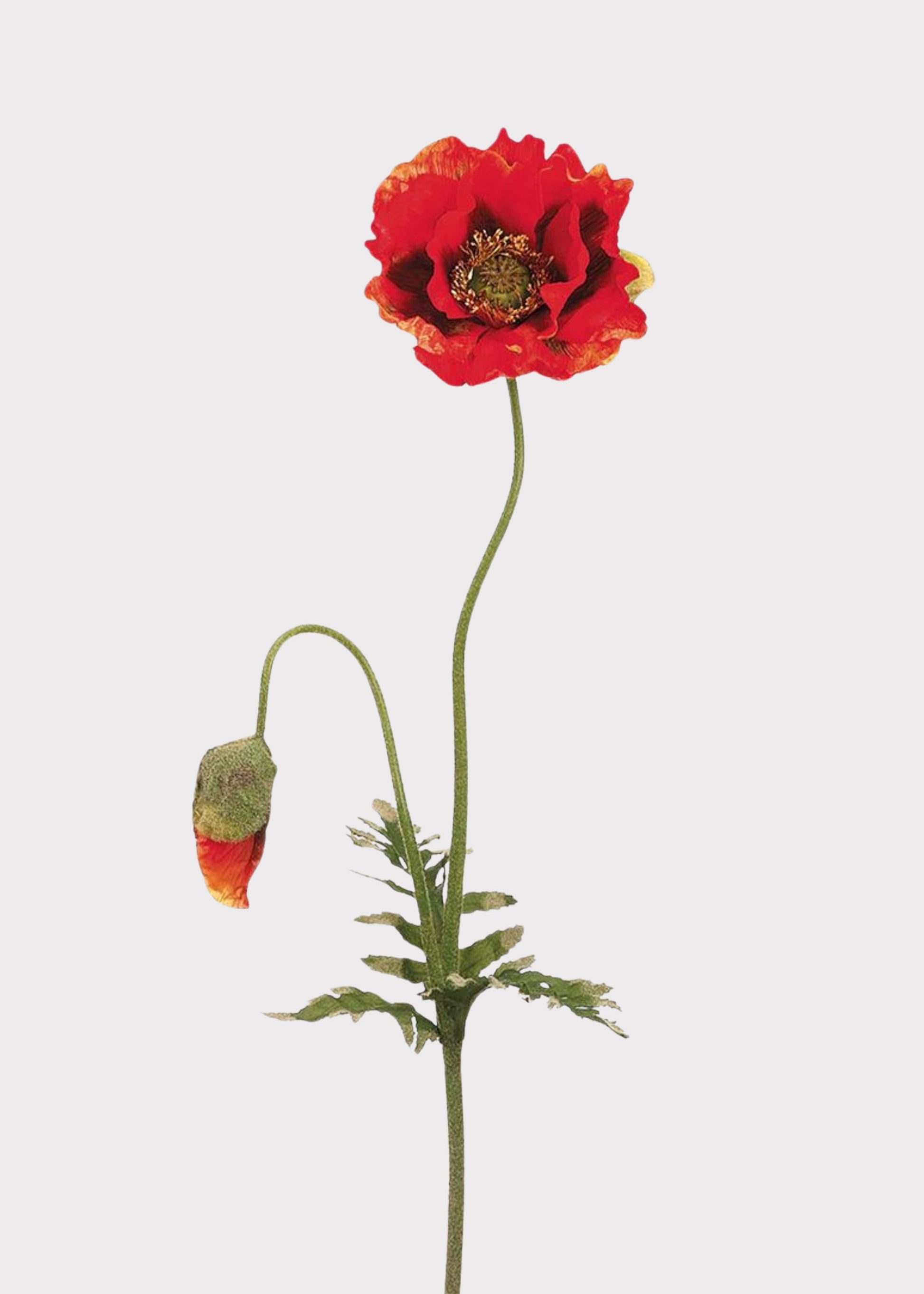 Flame Orange Fake Poppy Wildflower - 35.5"
