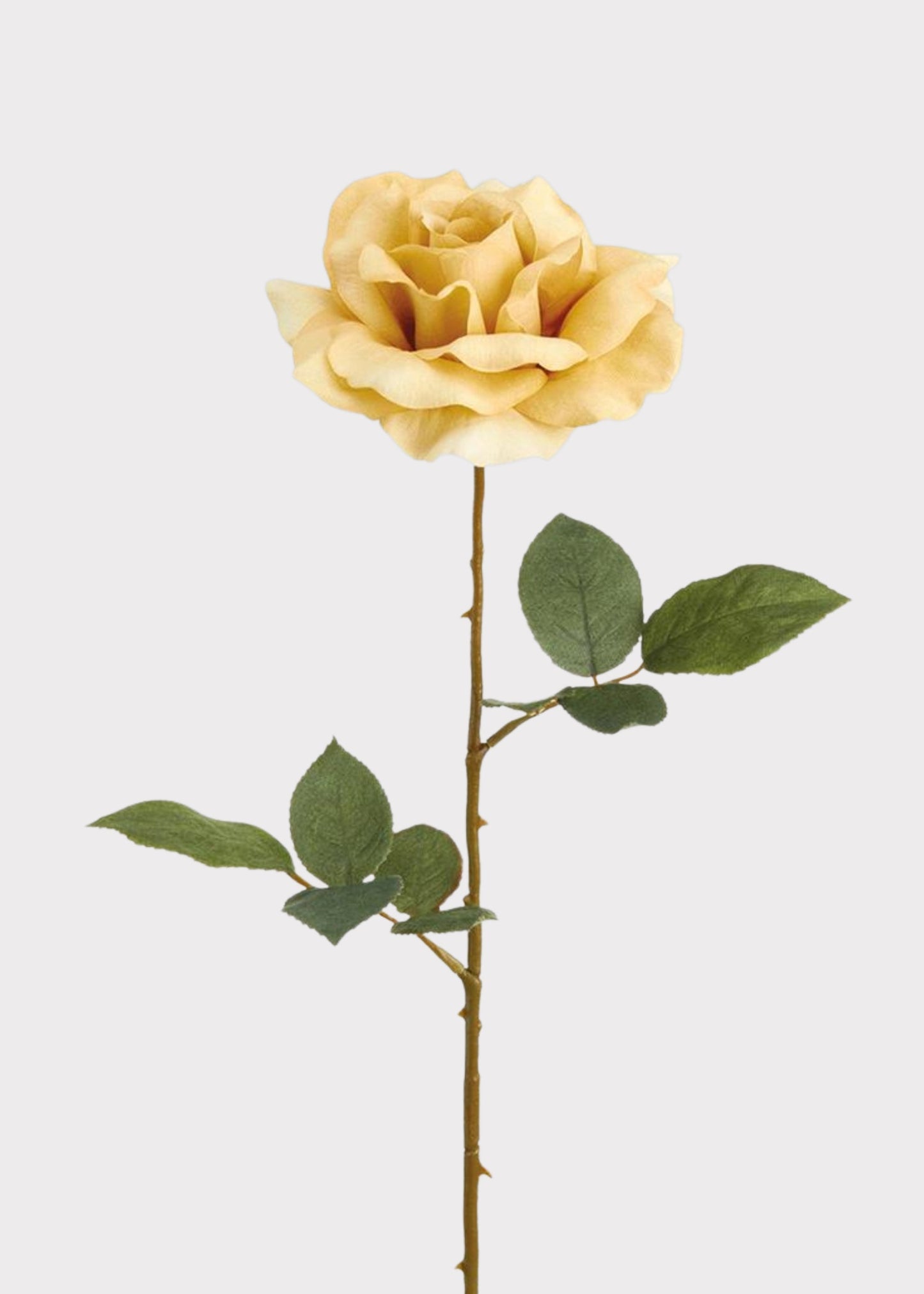 Artificial Rose Flower in Beige - 25"