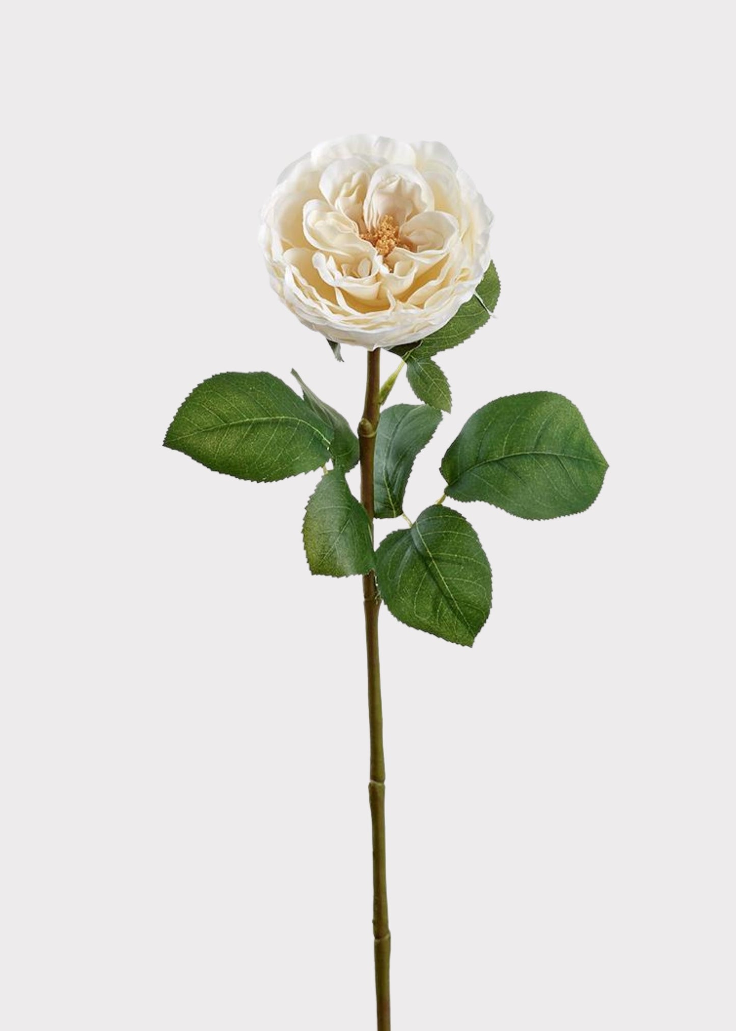 Fake Flower Rose in Cream - 26"