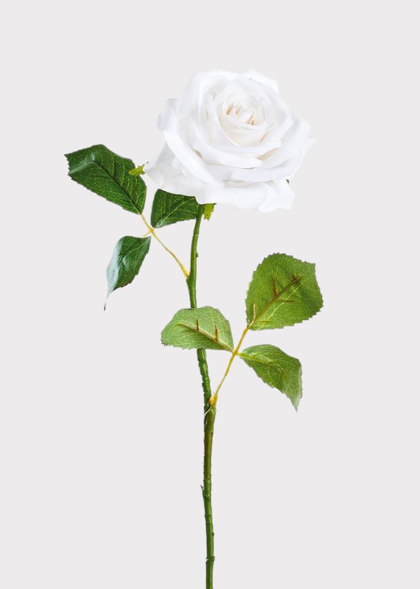 Real Touch Rose Artificial Flower in Cream White - 21.5"