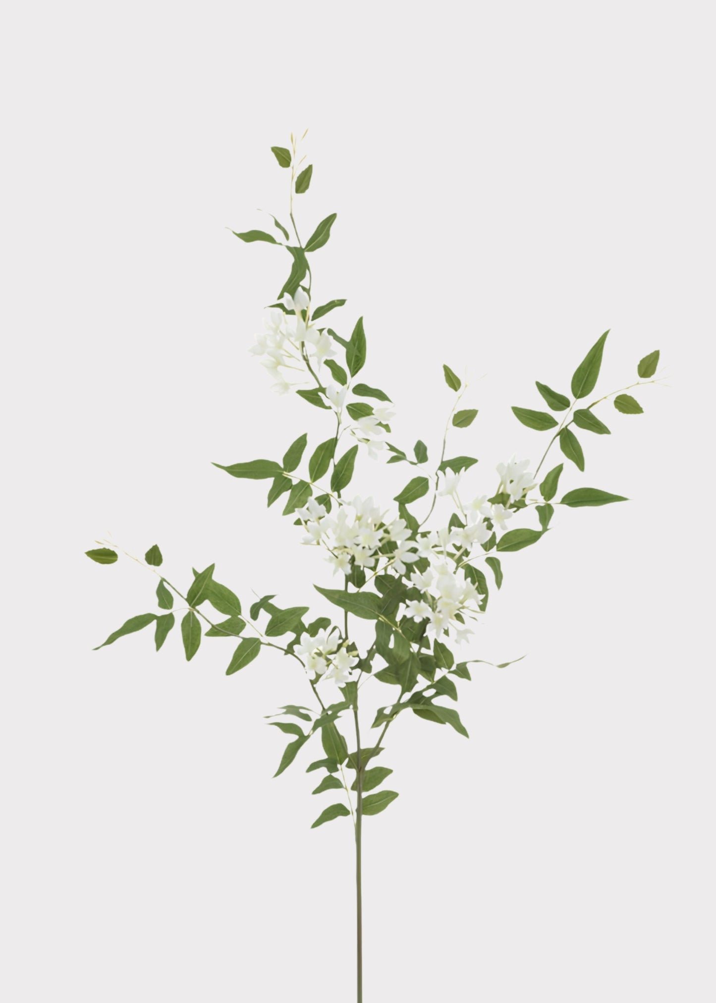 Tropical Fake Stephanotis Blooming Flower Branch in White - 43"