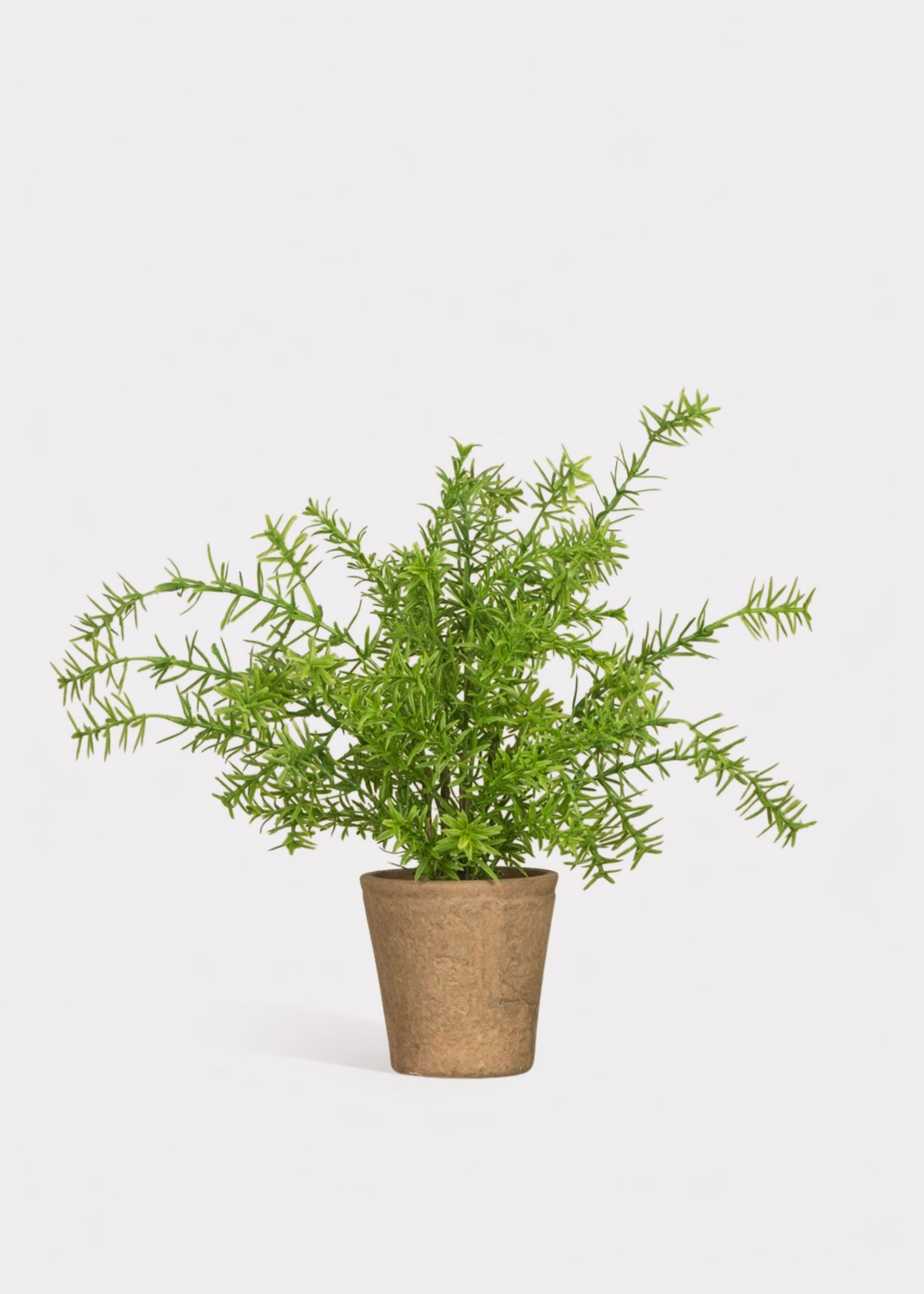 Artificial Potted Rosemary Herb Plant - 16"