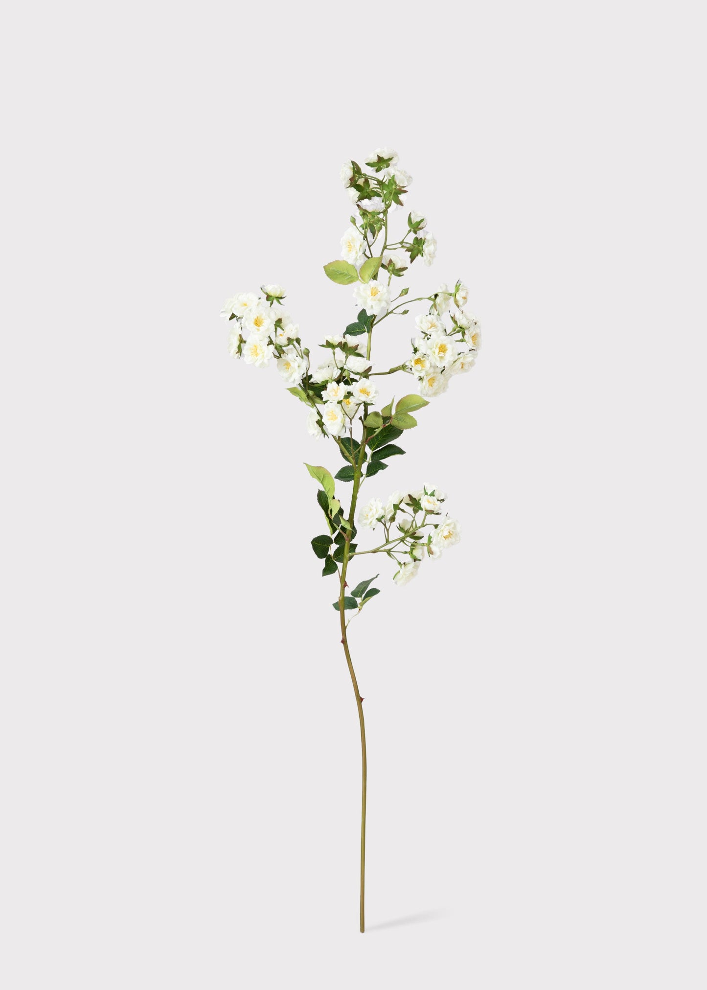 Climbing Fake Roses Branch in Cream White - 33"