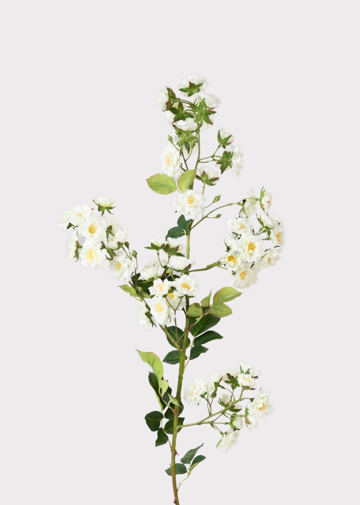 Climbing Fake Roses Branch in Cream White - 33"