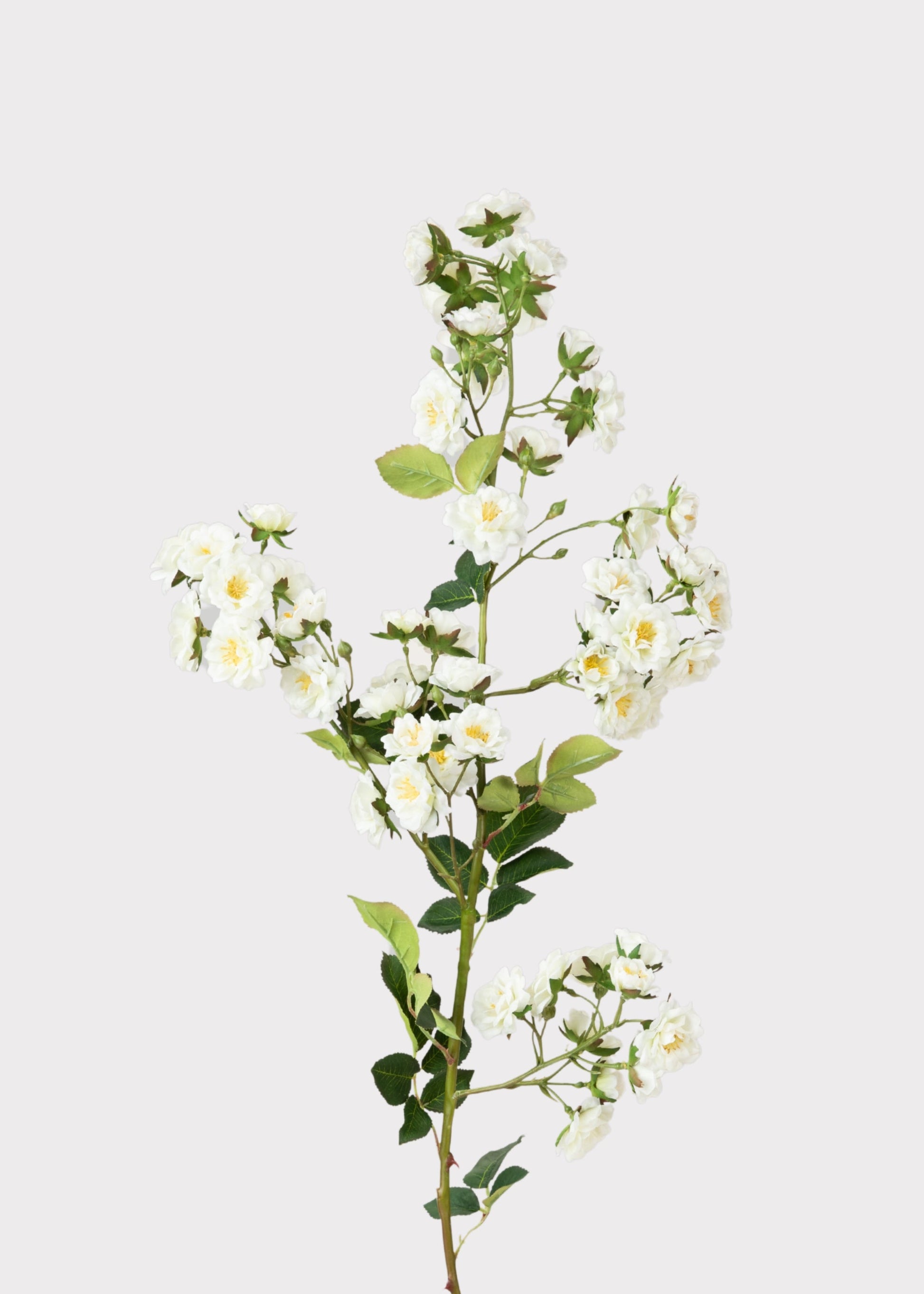 Climbing Fake Roses Branch in Cream White - 33"