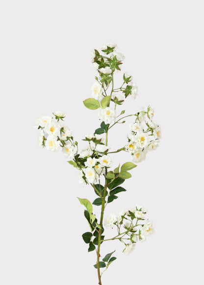 Climbing Fake Roses Branch in Cream White - 33"