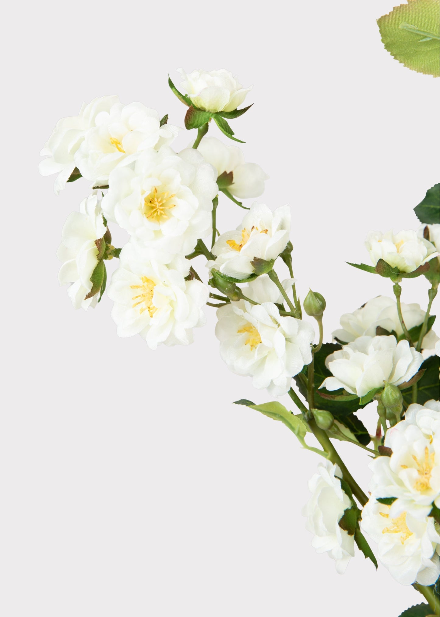 Climbing Fake Roses Branch in Cream White - 33"