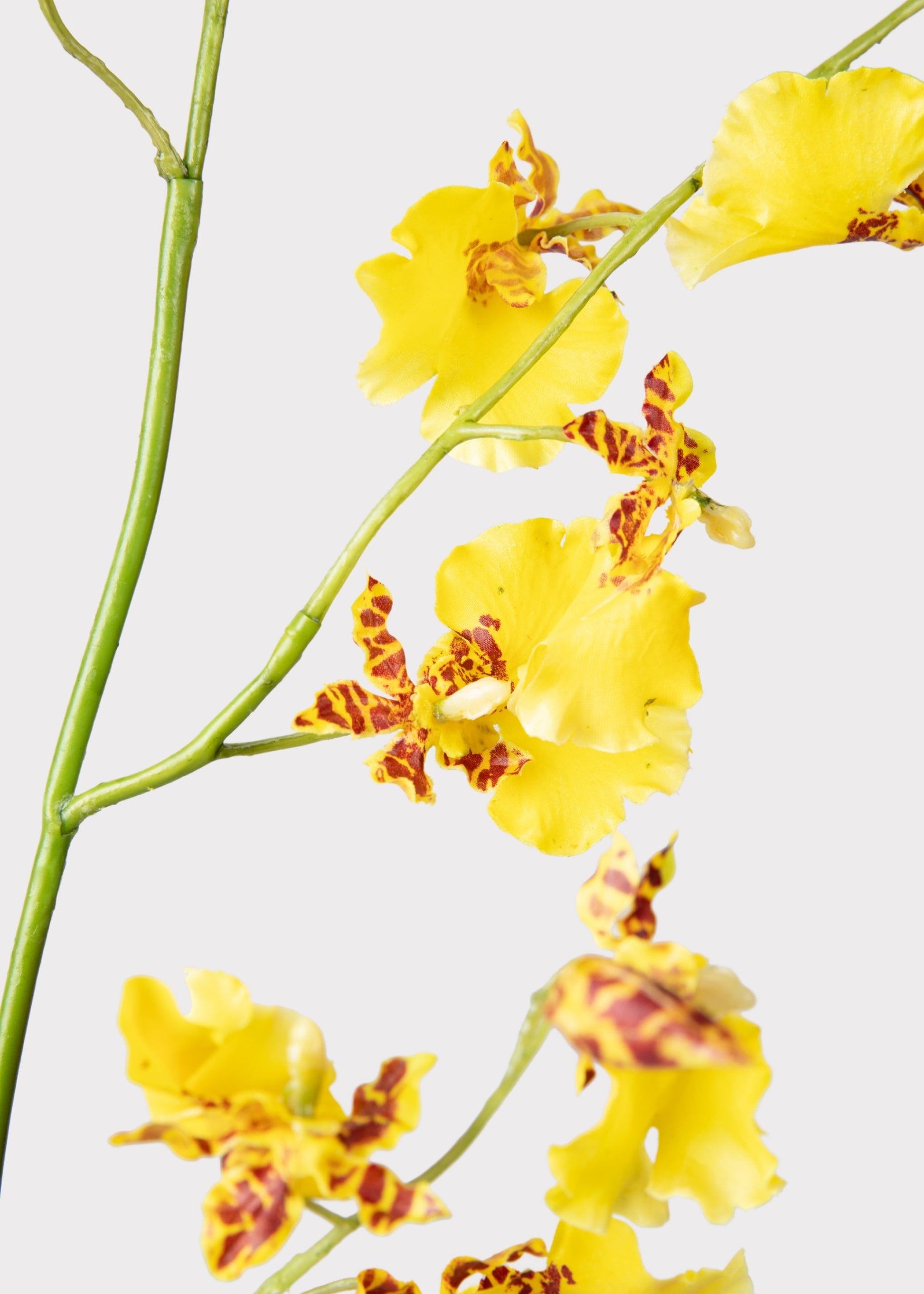 Artificial Dancing Orchids in Yellow - 46"