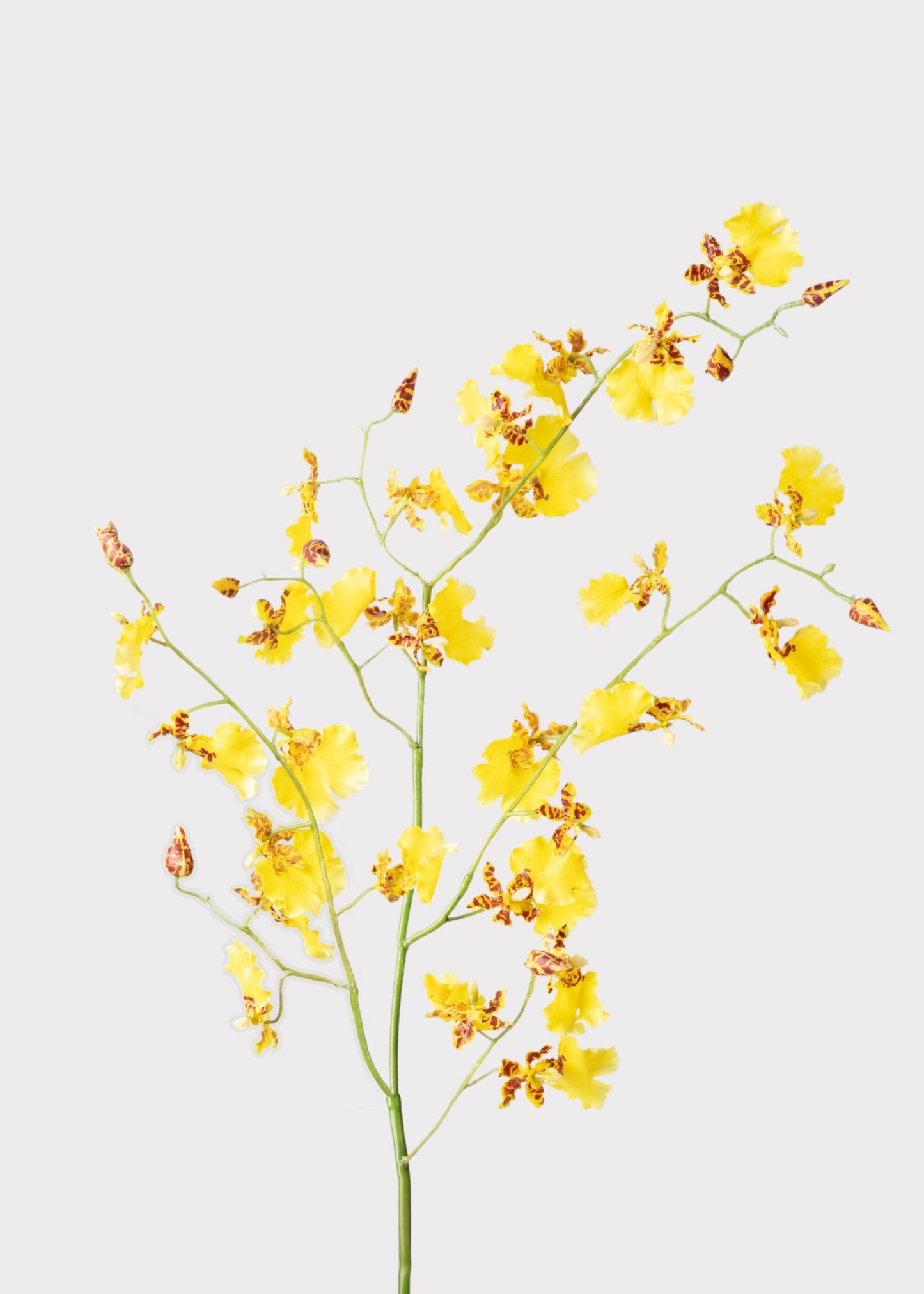 Artificial Dancing Orchids in Yellow - 46"
