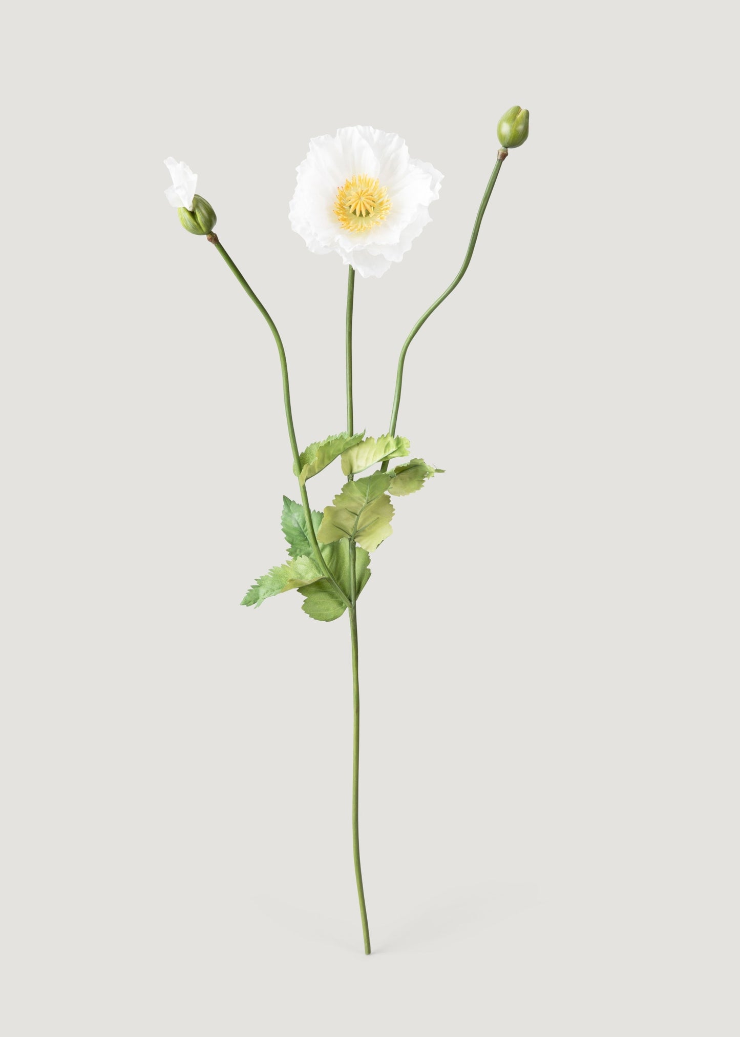 Faux Poppy Flower in Cream White - 31"