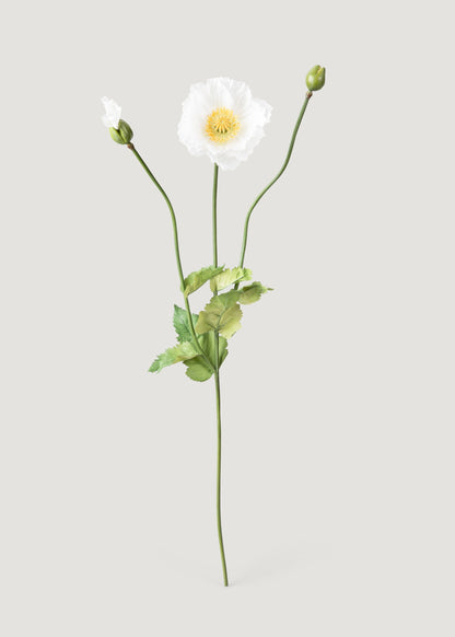 Faux Poppy Flower in Cream White - 31"