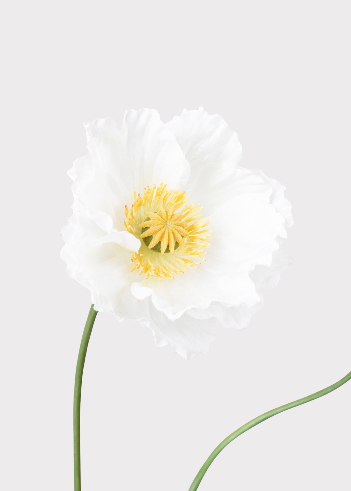 Faux Poppy Flower in Cream White - 31"