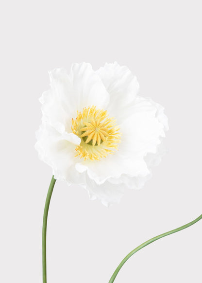Faux Poppy Flower in Cream White - 31"