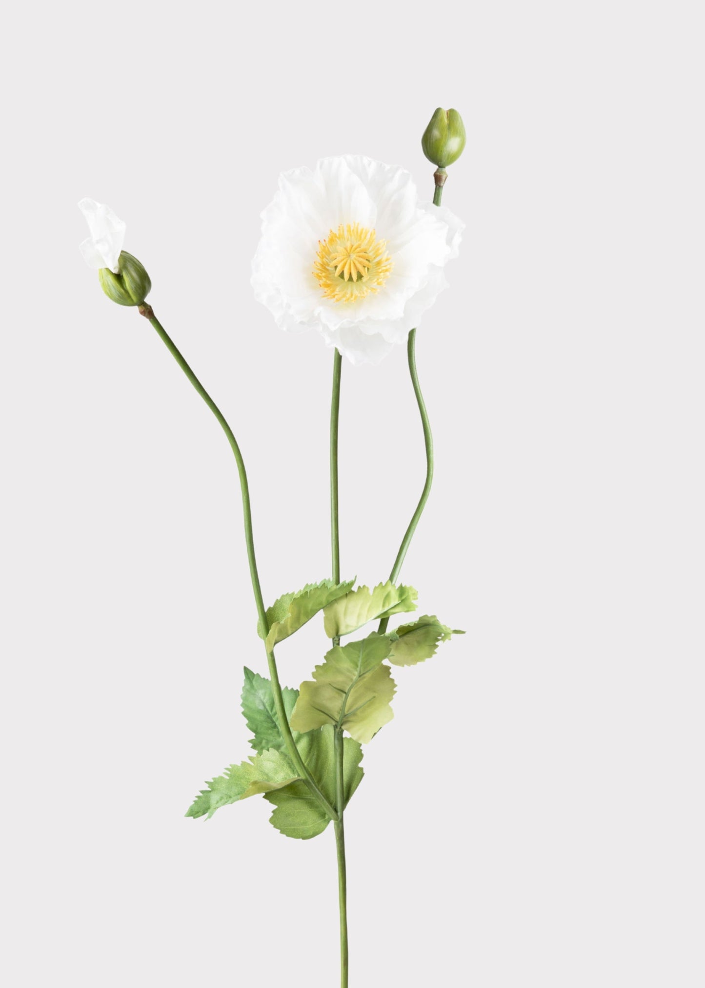 Faux Poppy Flower in Cream White - 31"