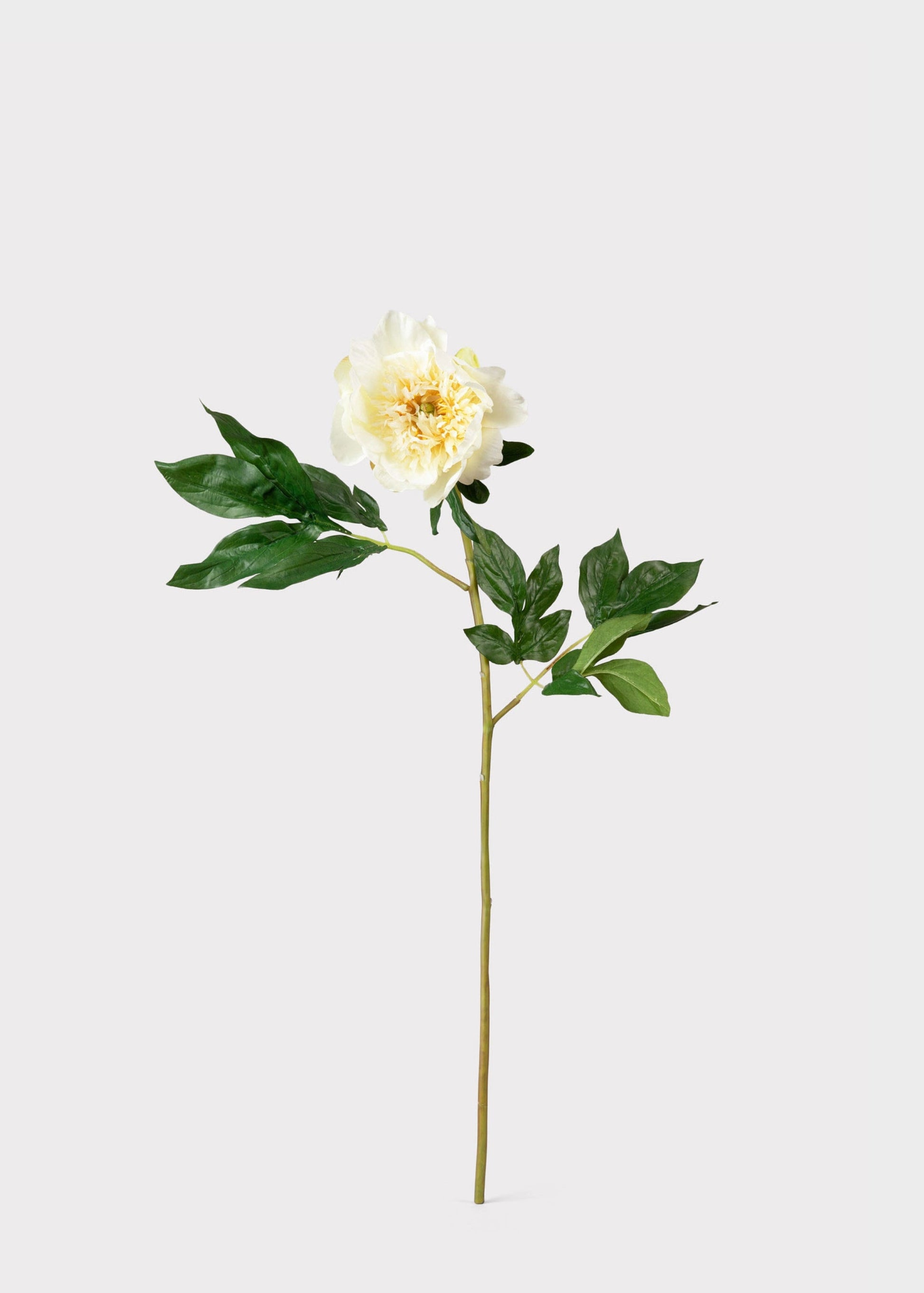 Artificial Peony Flower in Pale Yellow - 28.5"