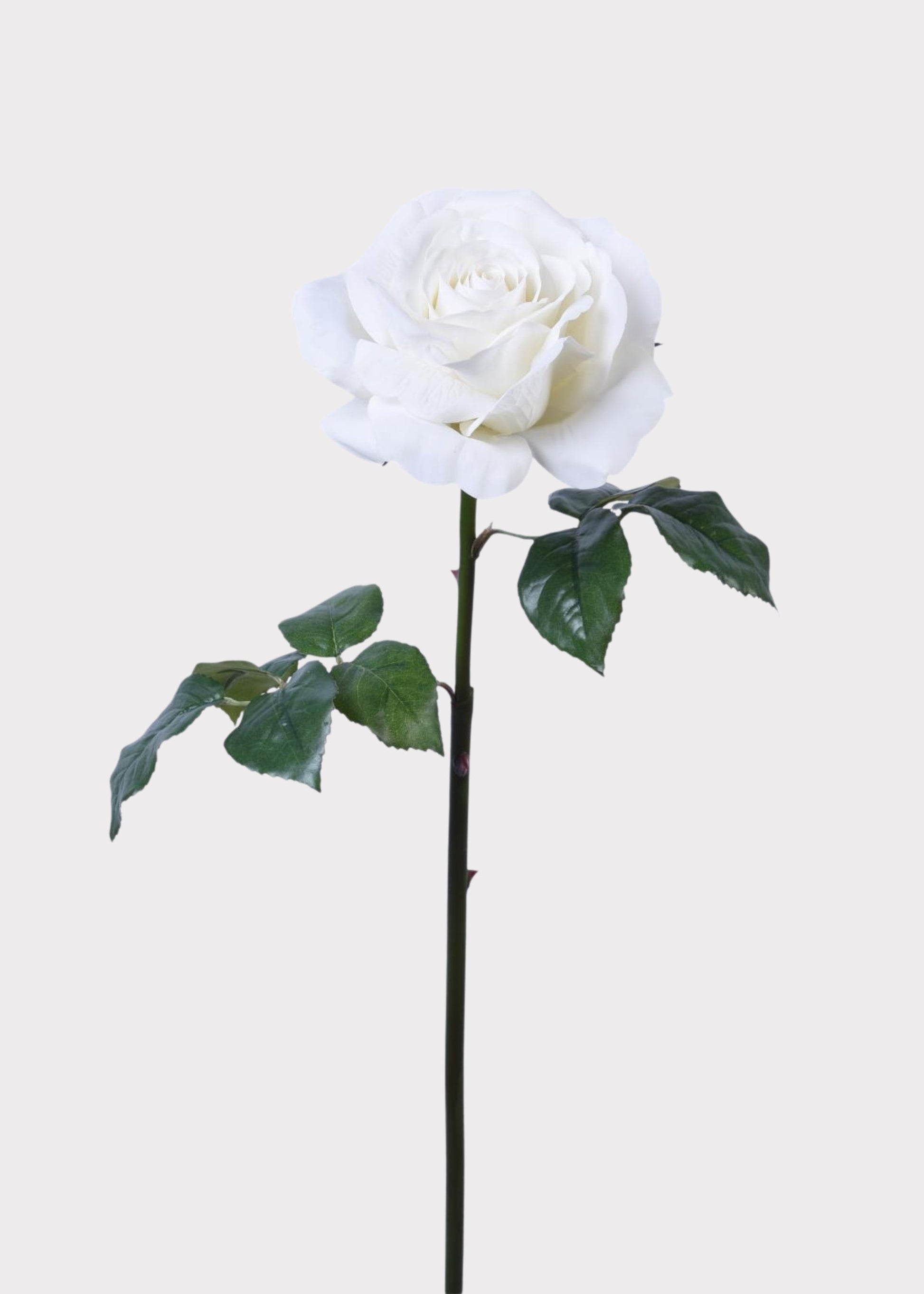 Natural Touch Artificial Rose in White - 35.25"