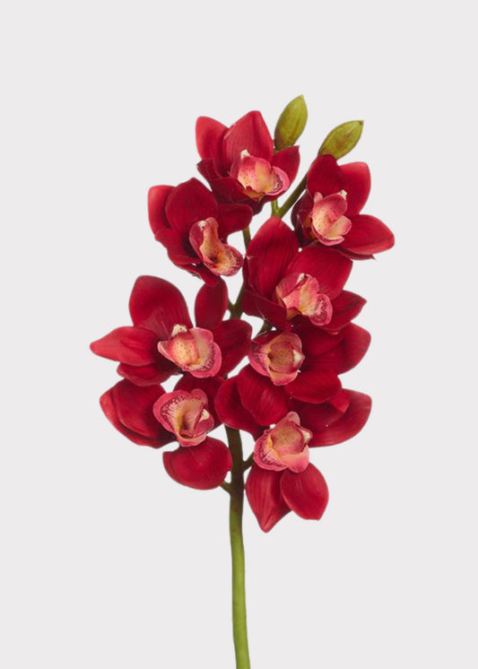 Fake Cymbidium Orchid Flowers in Red - 27"