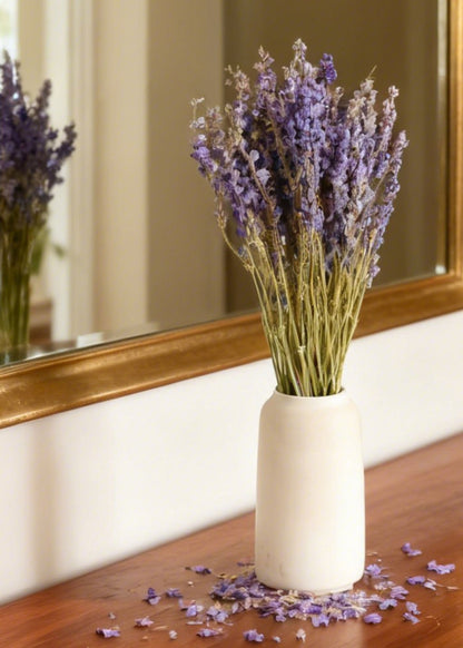 Purple Dried Larkspur Wildflower Bundle of 10 Stems