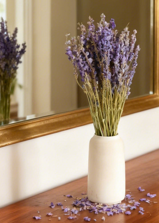 Purple Dried Larkspur Wildflower Bundle of 10 Stems