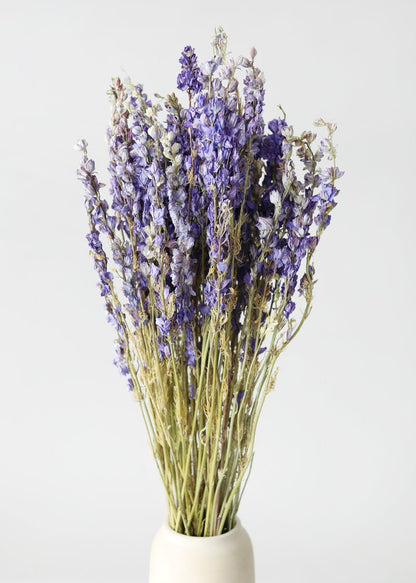 Purple Dried Larkspur Wildflower Bundle of 10 Stems