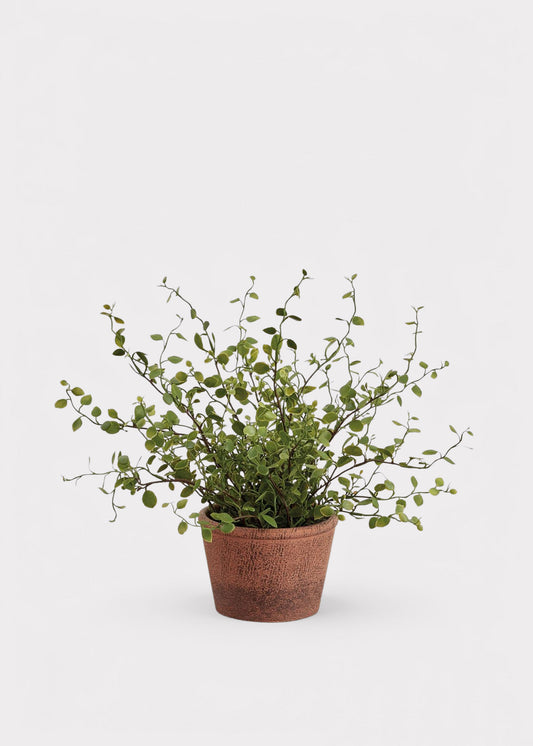 Small Artificial Plant Maidenhair Creeping Vine in Pot - 10.5"