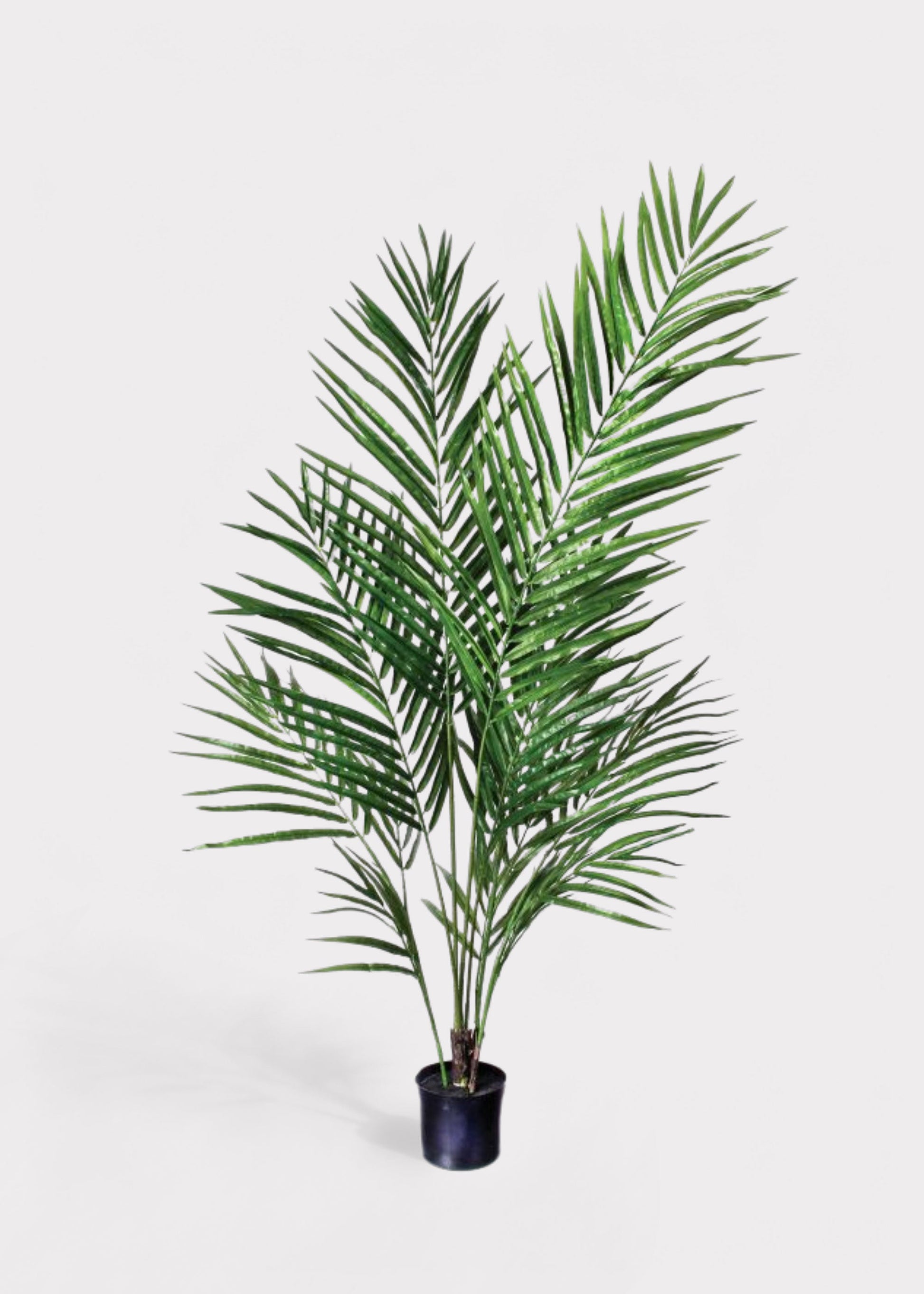 Artificial Areca Palm Tree Potted Floor Plant - 48"