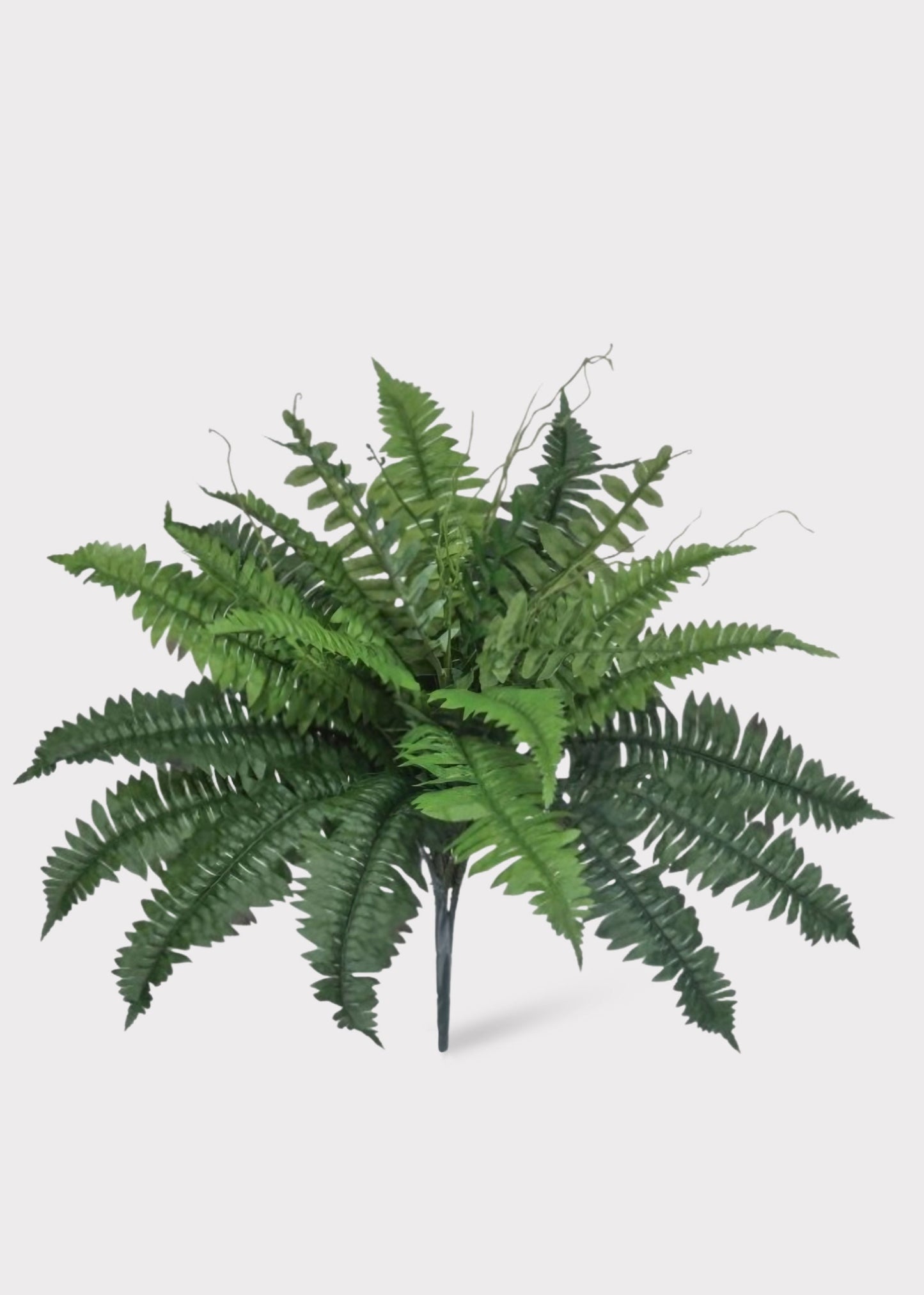 Artificial Indoor/Outdoor Estate Fern UV Treated Plant - 22"
