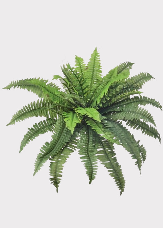 Large Fake Estate Boston Fern UV Treated Indoor/Outdoor Plant - 30"