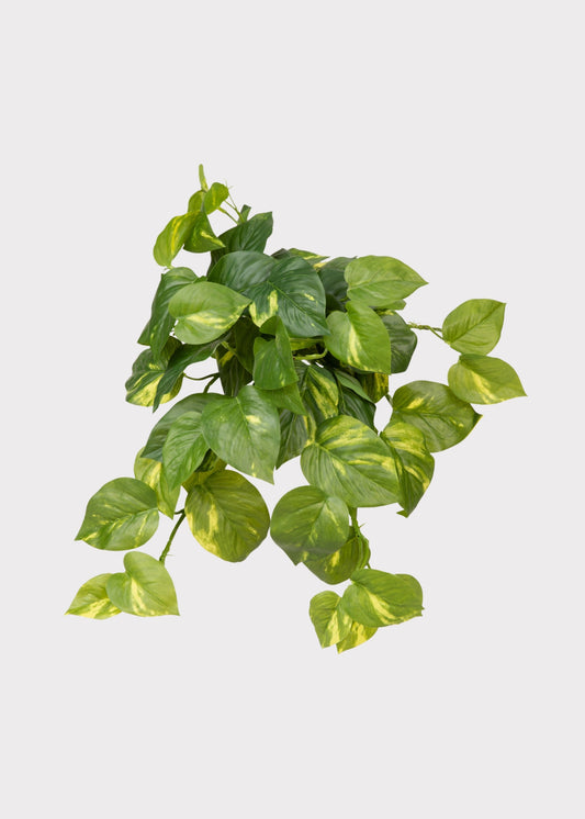 Artificial Pothos UV Treated Indoor/Outdoor Hanging Plant - 19"