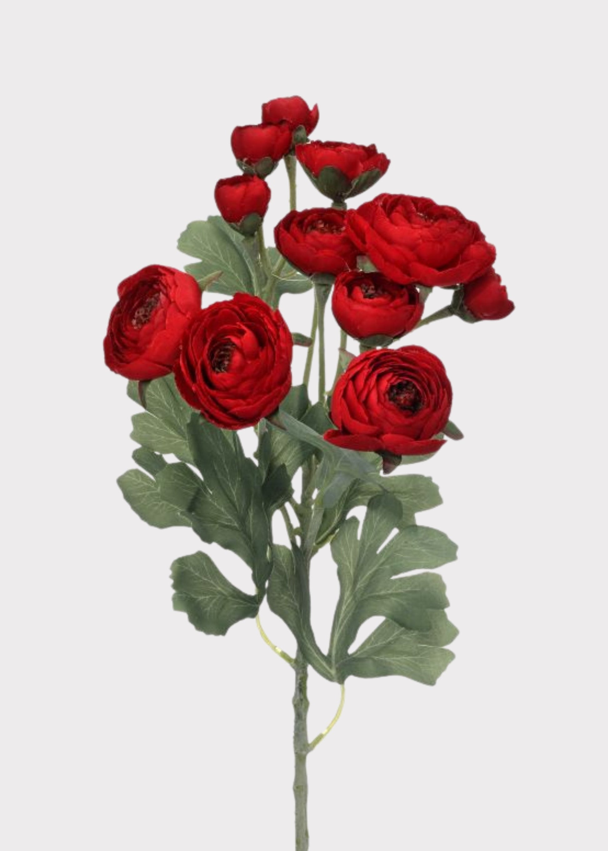 Artificial Blooming Ranunculus Flowers in Red - 21"