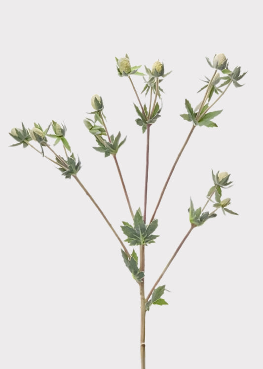 Cream Fake Echinops Thistle Wildflower Spray - 23"