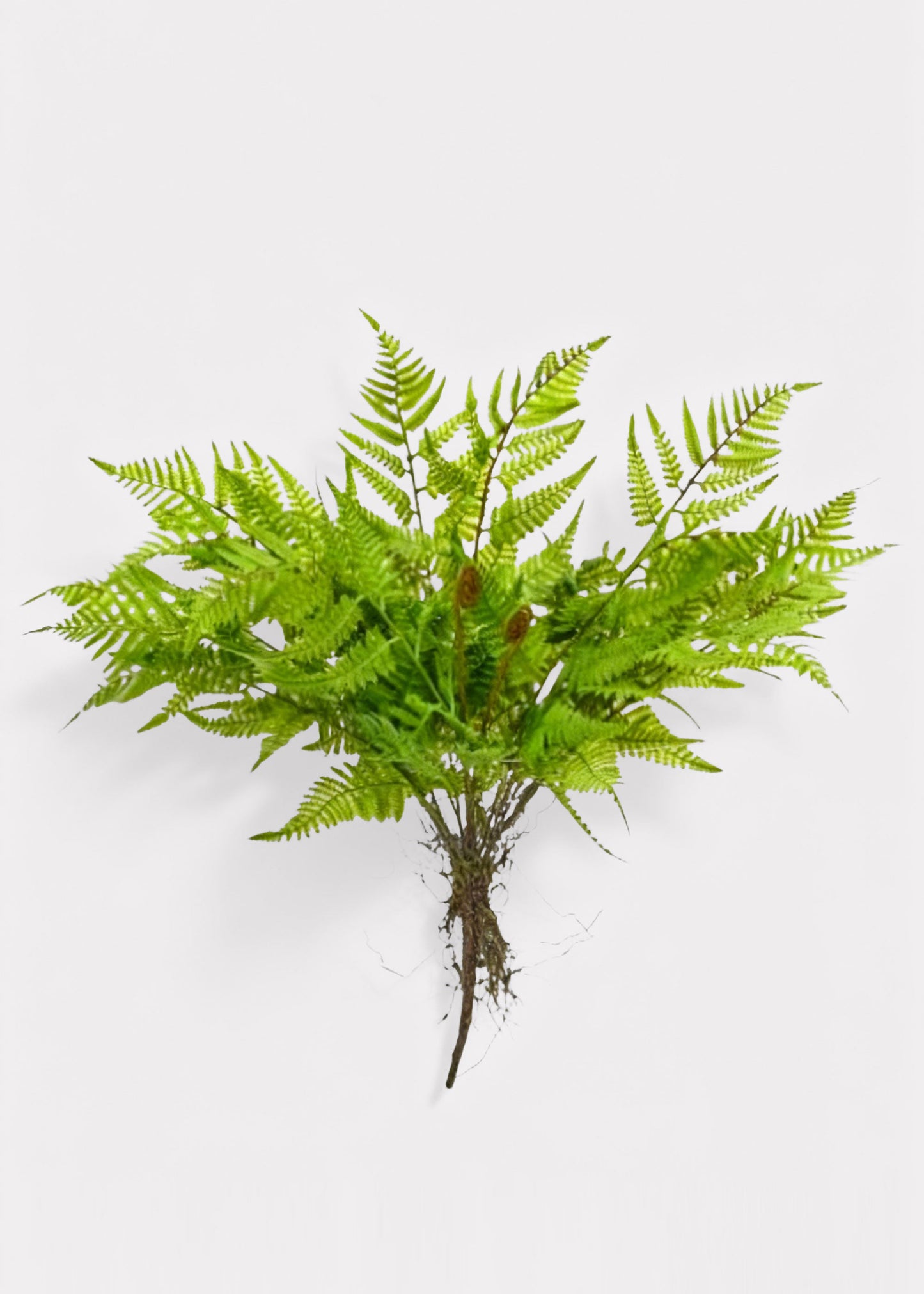Natural Touch Artificial Leather Fern Plant - 18"