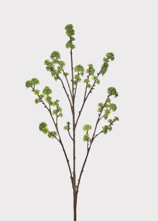 Green Fake Budding Citrus Blossom Branch - 36"