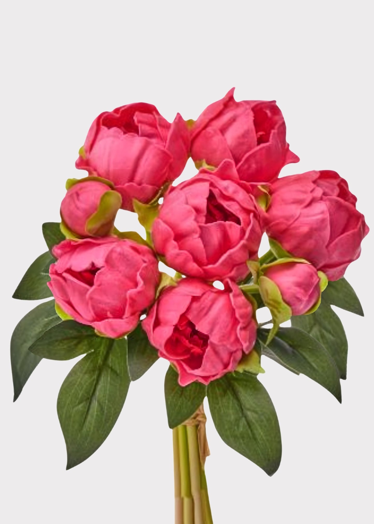 Hot Pink Peony Real Touch Flower Bundle of 8 - 11"