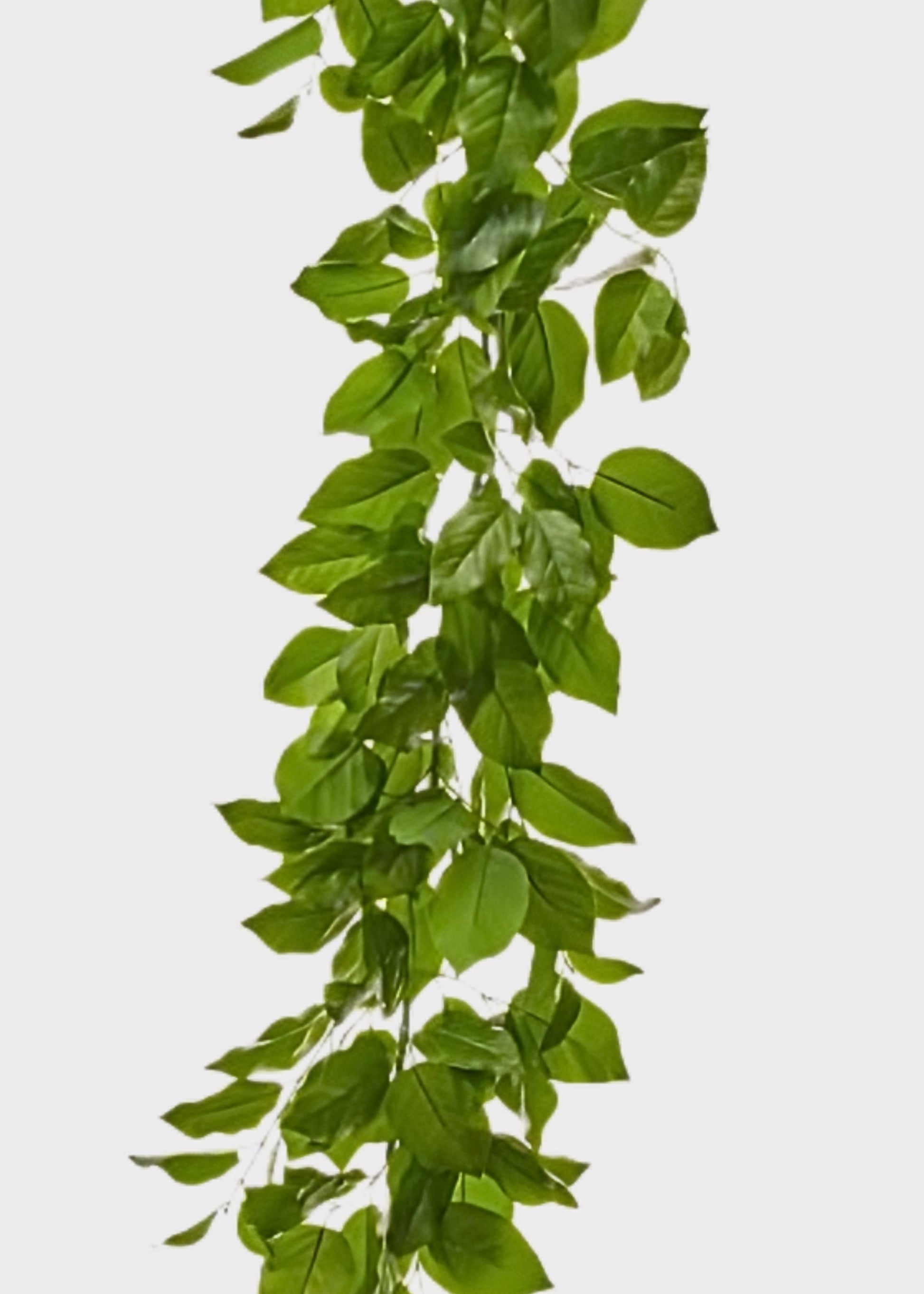 Real Touch Salal Leaf UV Treated Indoor/Outdoor Garland - 60"