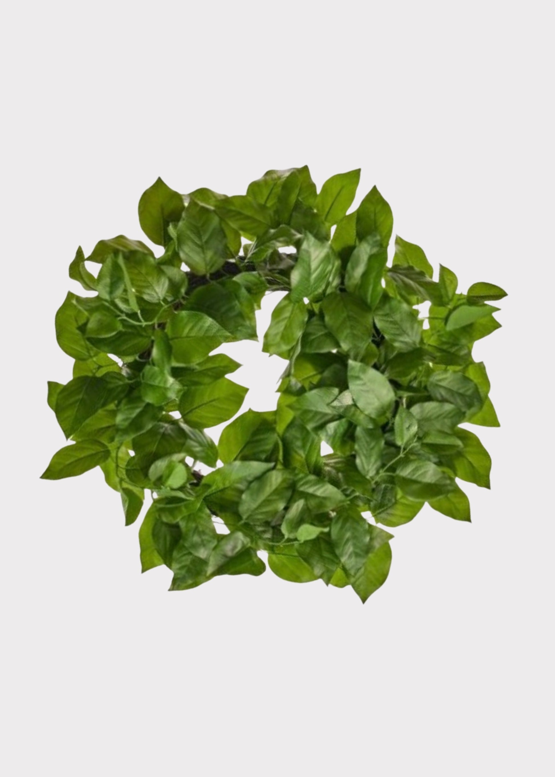 UV Treated Indoor/Outdoor Real Touch Salal Leaf Wreath - 24"