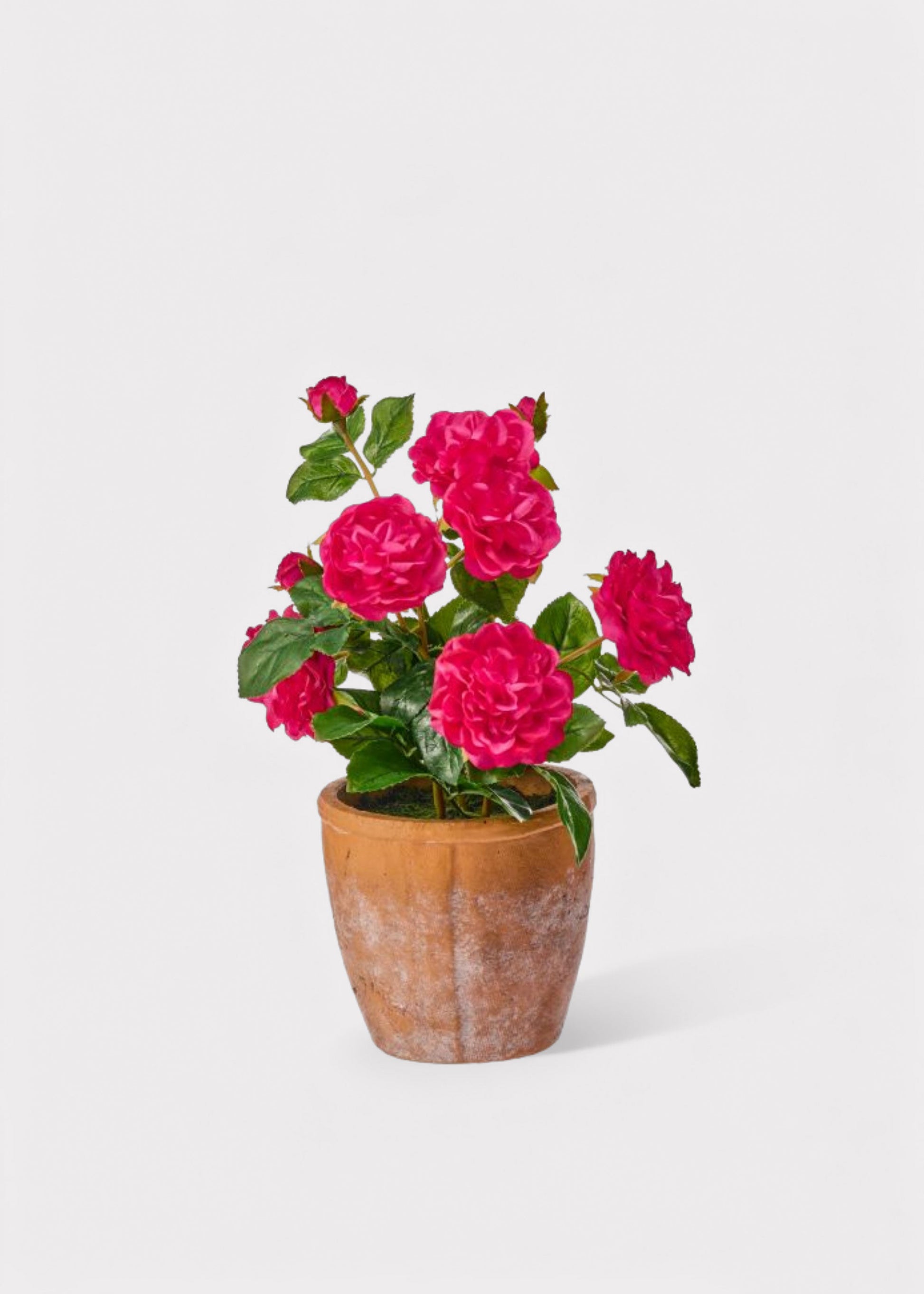 UV Treated Outdoor Potted Plant of Hot Pink Real Touch Roses - 13"