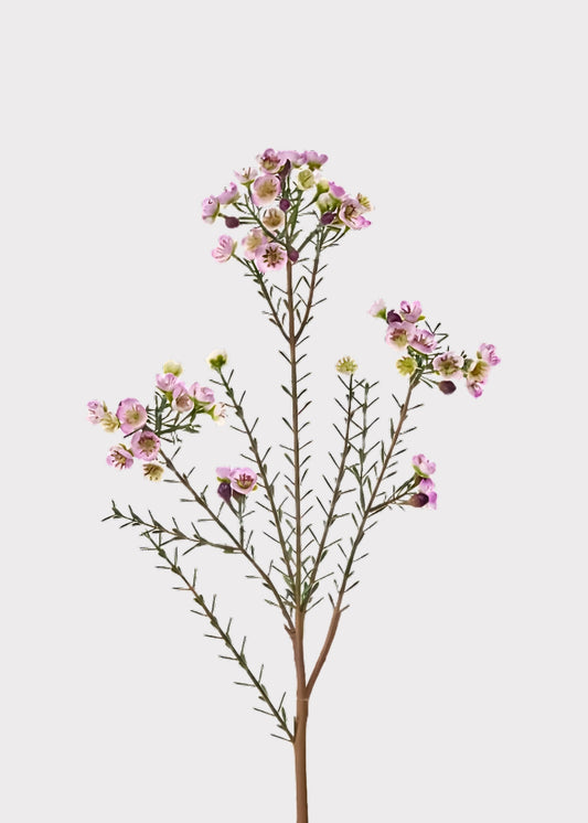 Lavender Fake Wildflower Waxflower Spray - 31"